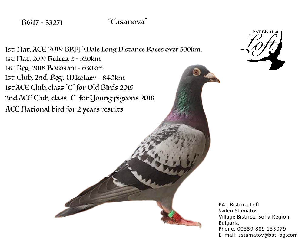 Casanova